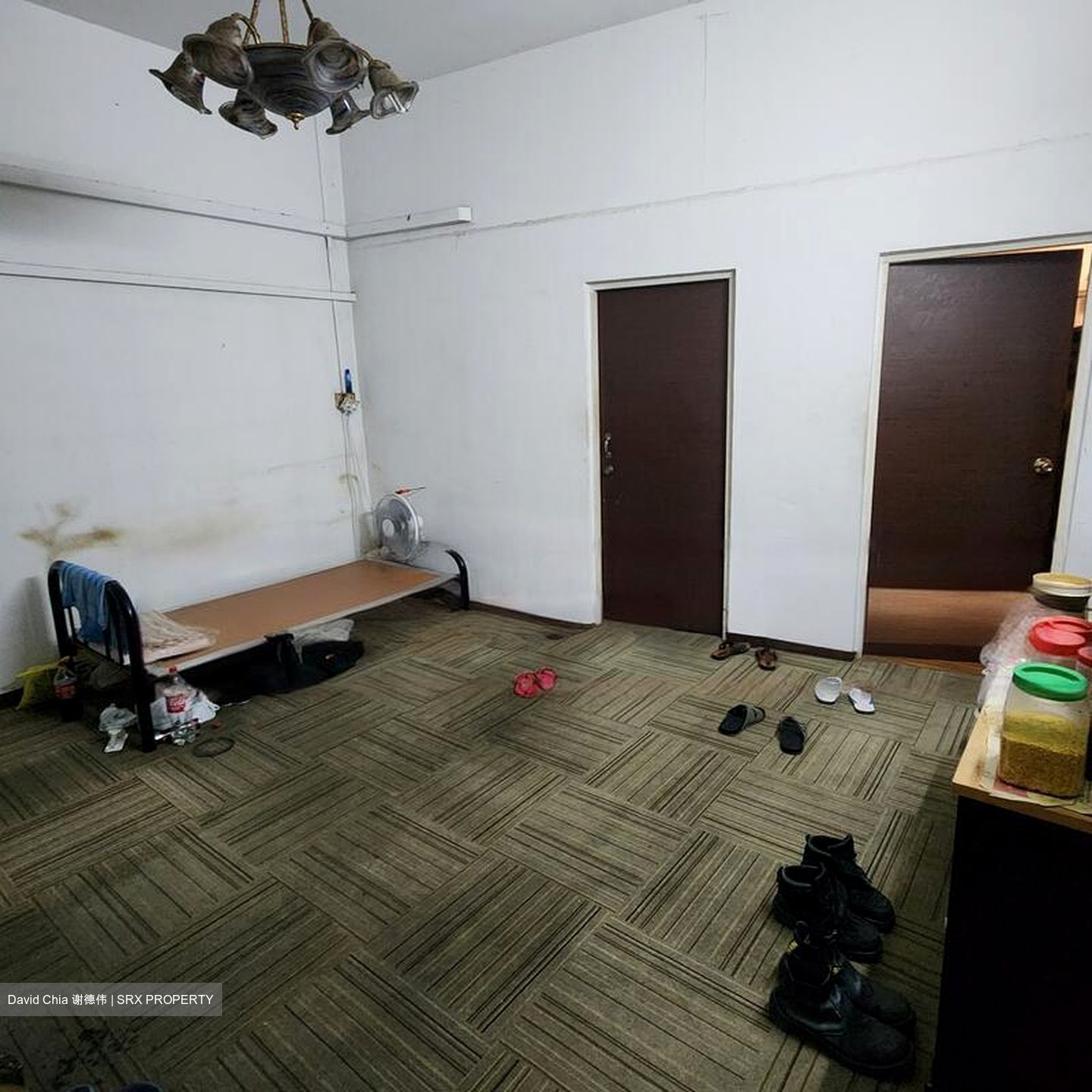 Balestier Road (D12), Apartment #478186211